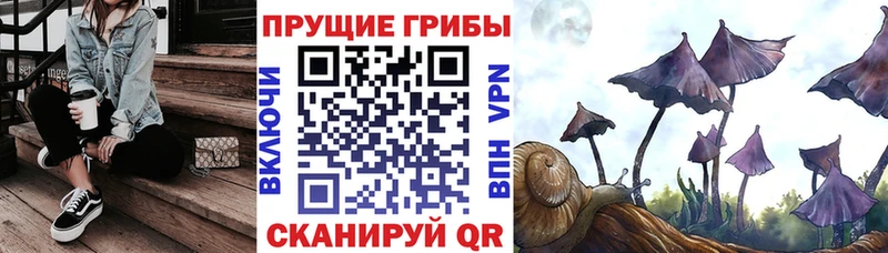 Псилоцибиновые грибы прущие грибы Оренбург